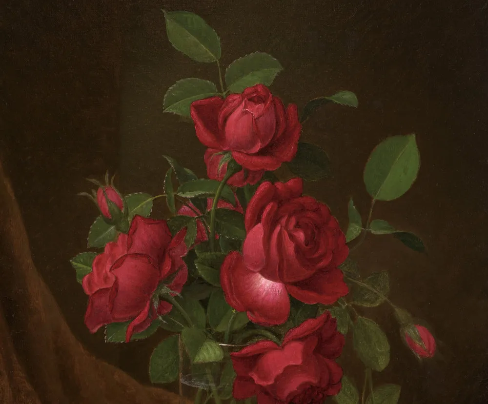 Martin Johnson Heade (1819–1904). Four Roses in a Glass, c. 1883–1900. Oil on canvas, 22 x 14 in. (detail)